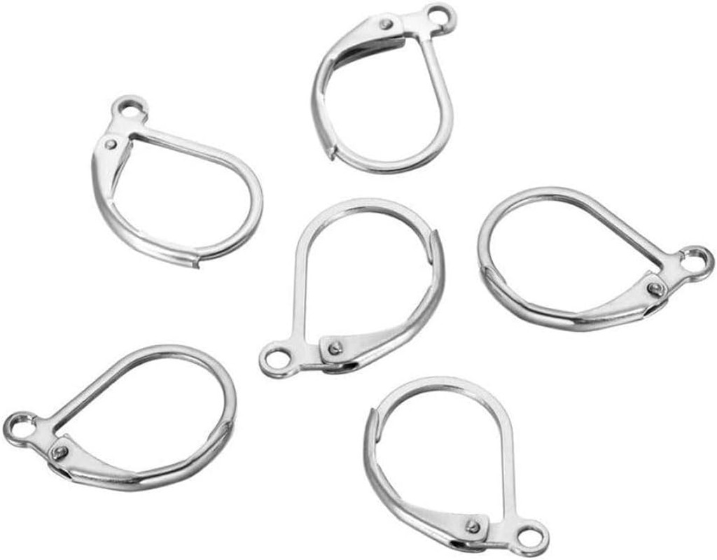 50Pcs  304 Grade Surgical Stainless Steel Hypoallergenic Earring Hooks Leverback