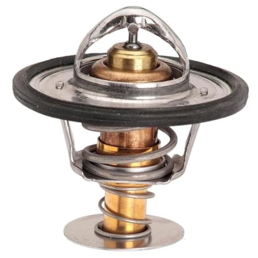 33019S Thermostat