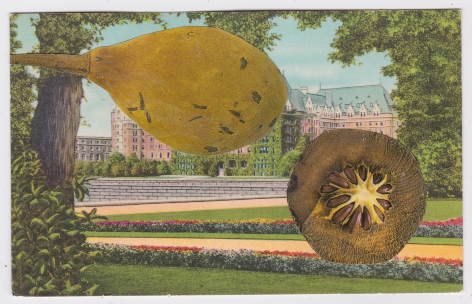 Mail Art David Greenberger "Checking Each Other Out" collaged postcard 2024