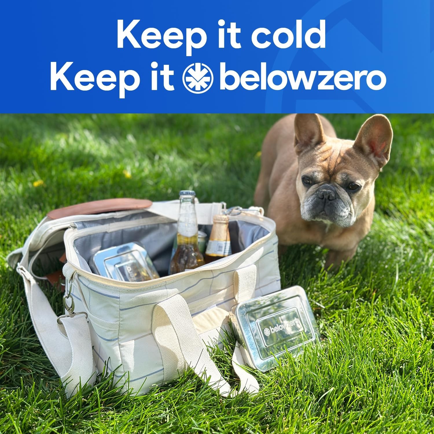 Below Zero Deluxe Stainless Steel Reusable Cooling Pack | Durable Ice Pack La...