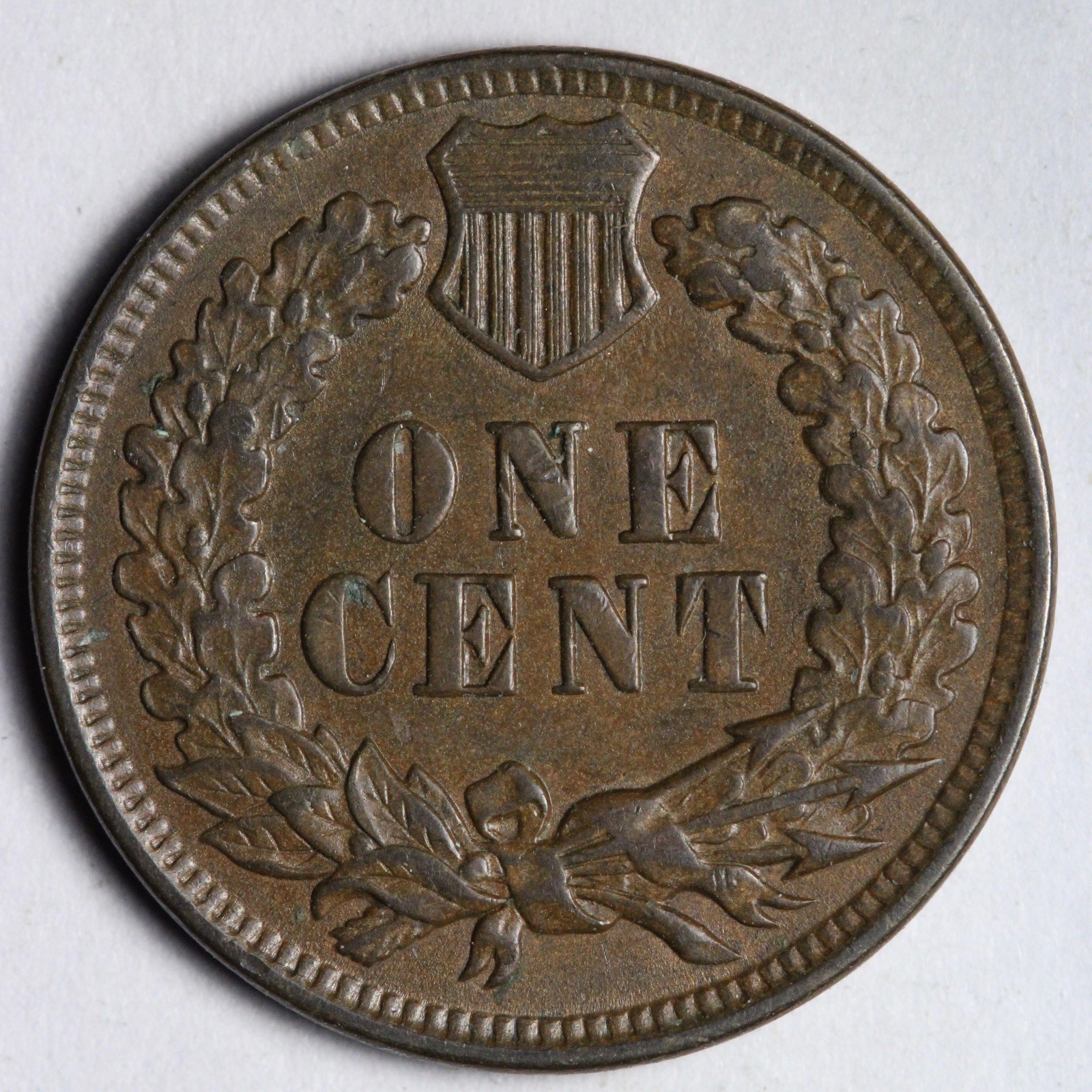 1900 Indian Head Cent Penny UNC *UNCIRCULATED* MS E129 WJNB