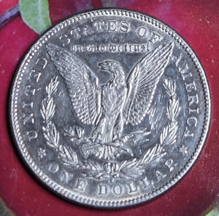 1878s   Morgan Silver Dollar .. Polished..26.70 grams...reverse of 78