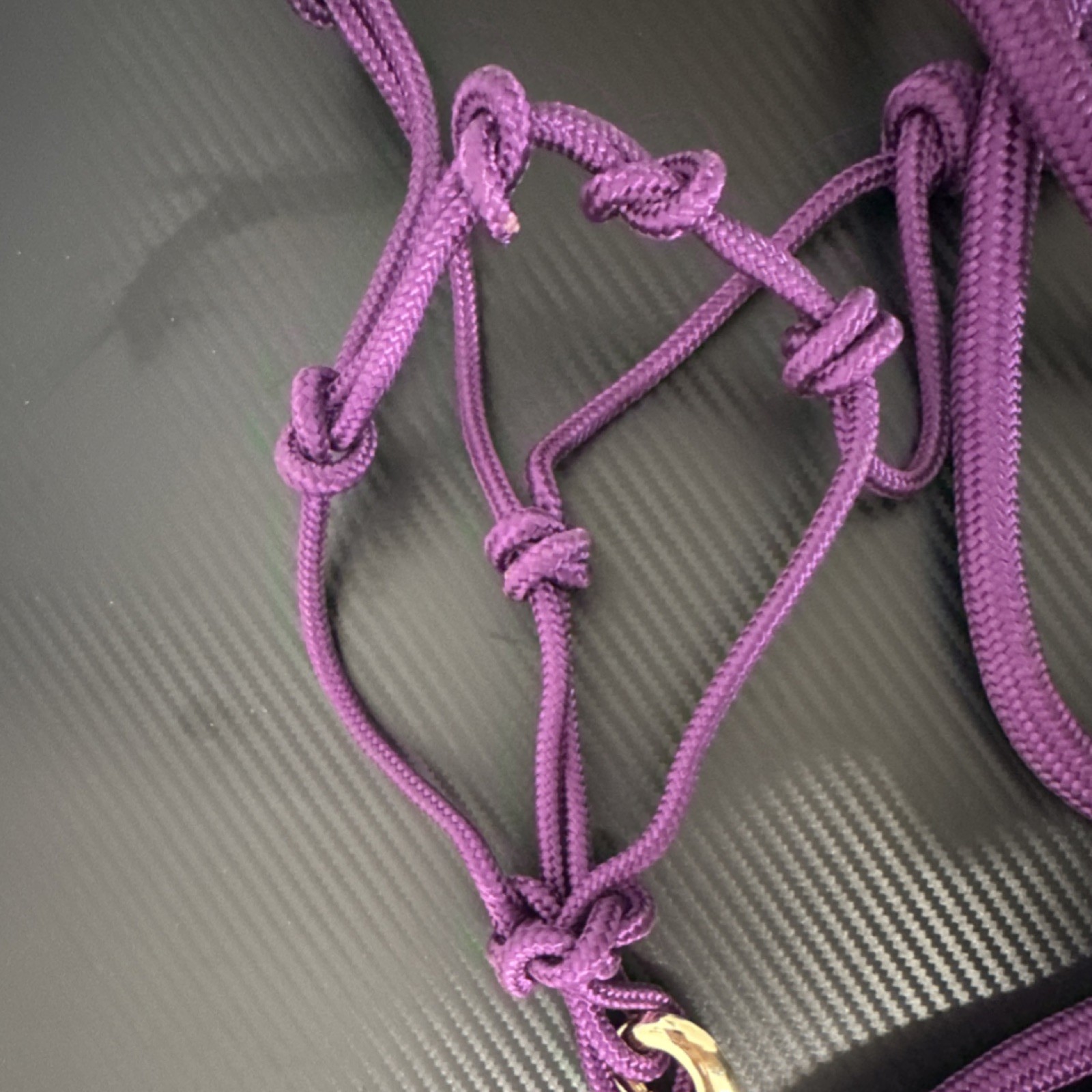 Star Point Horsemanship 4 Knot Nylon Halter & Lead Rope Set Purple medium