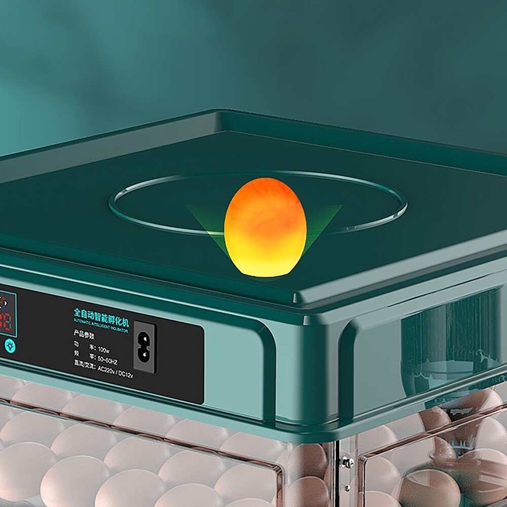 10 Eggs Fully Automatic Intelligent Double Electric Incubator Household Chicken
