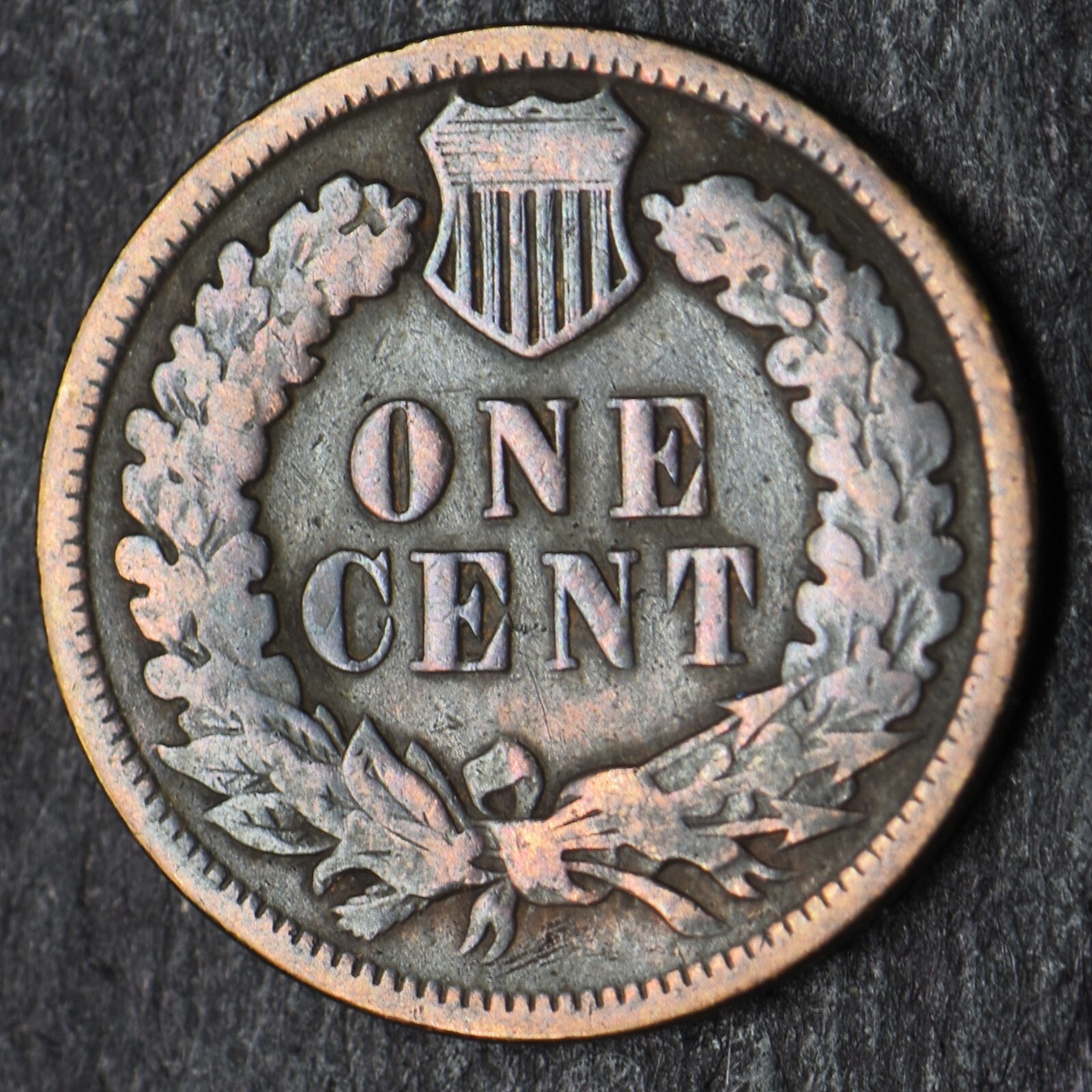 1895 Indian Head Cent 1C- COINGIANTS -