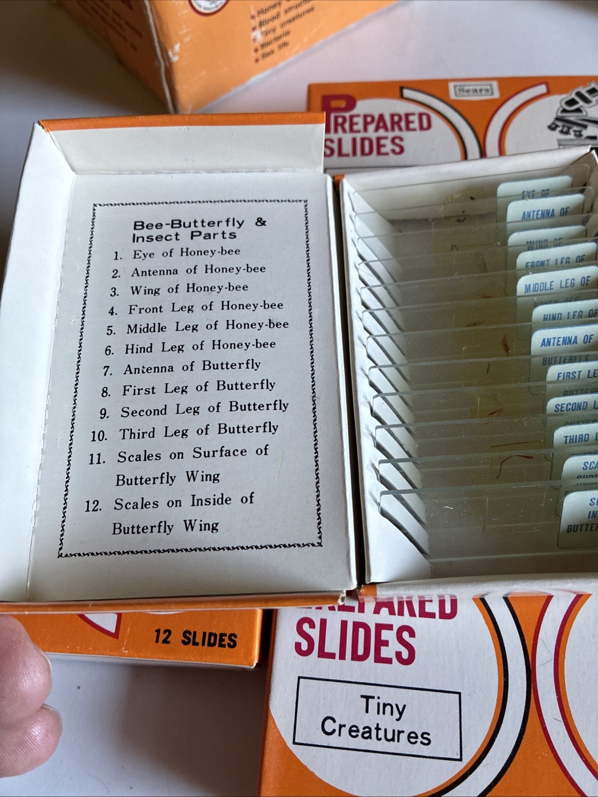 Vintage Sears 60 Prepared Microscope Slides 49 24037 Educational Specimens