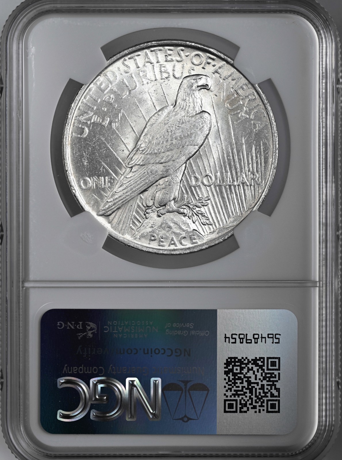 1923-P $1 PEACE SILVER DOLLAR "PHILADELPHIA" NGC MS61 #8131586-019 TONING SPOTS
