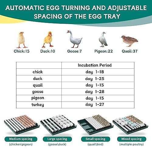 Incubators for Hatching Eggs, Egg Incubator with Automatic Egg Turning and Humid