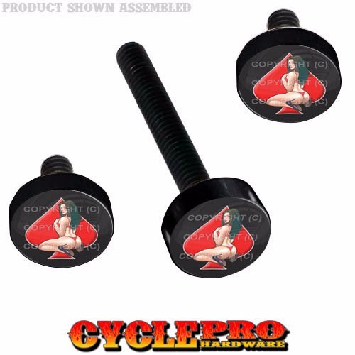 Black Billet Fairing Windshield Hardware Kit 14-Up Harley Touring - Pin Up Girl