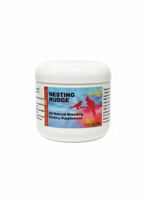 Morning Bird Nesting Nudge for Birds