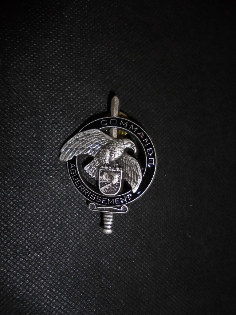 French ARMY COMMANDO Training Centre Aguerrissement Beret Badge