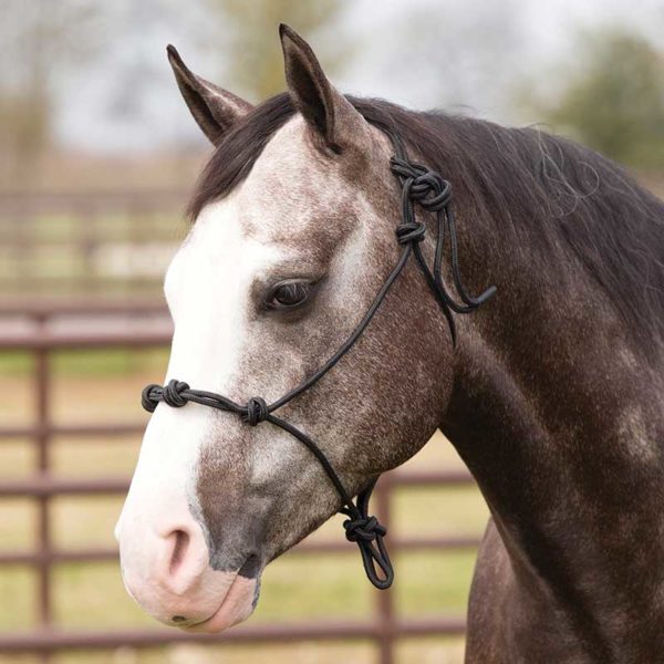 Partrade Training Rope Halter Black