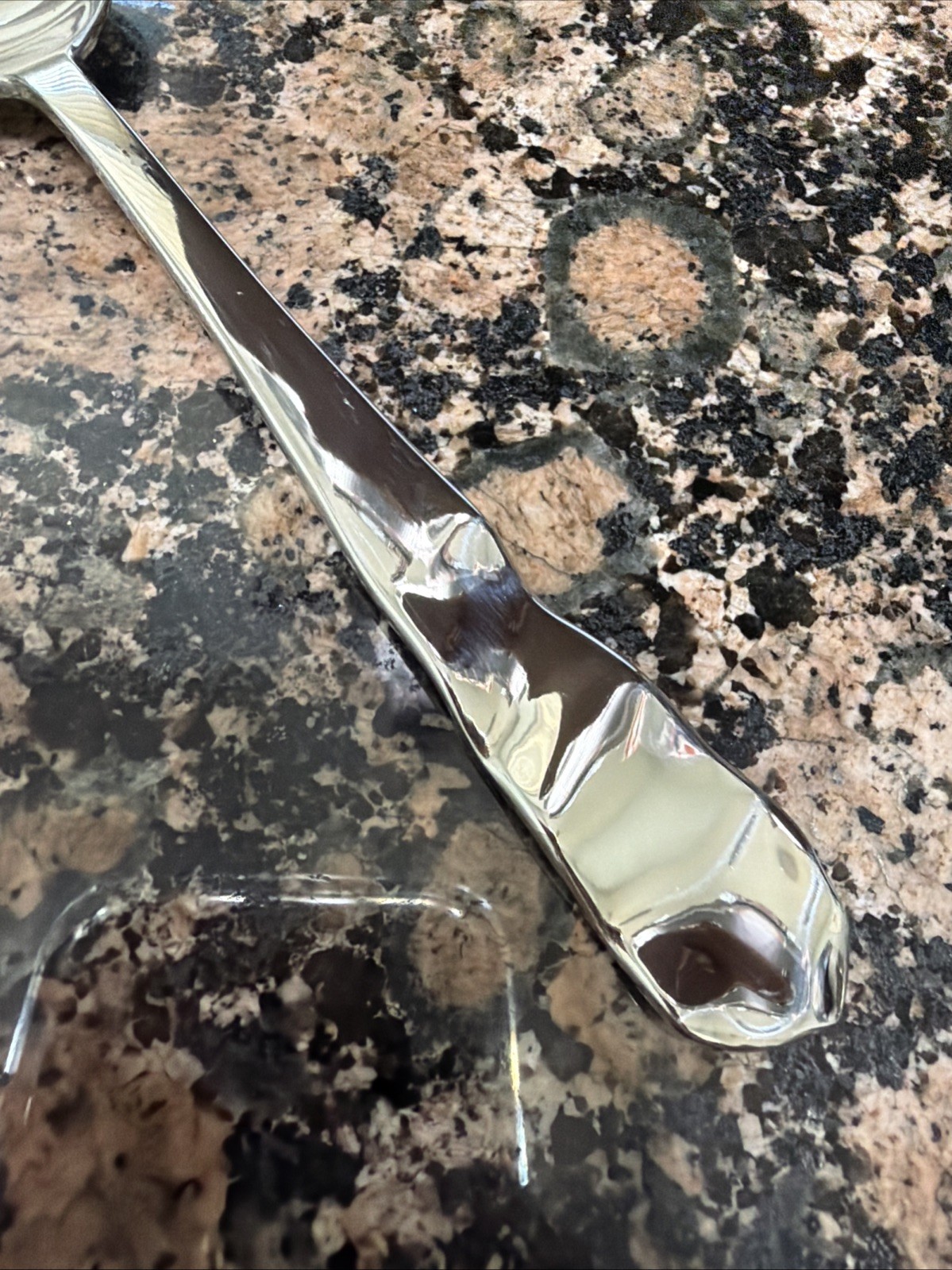 Pottery Barn LETTUCE Stainless Japan Silverware YOUR CHOICE Flatware glossy