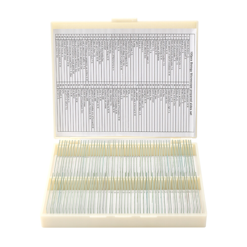 100PCS/Set Biological Glass Sample Portable Educational Microscope Slides F2X3