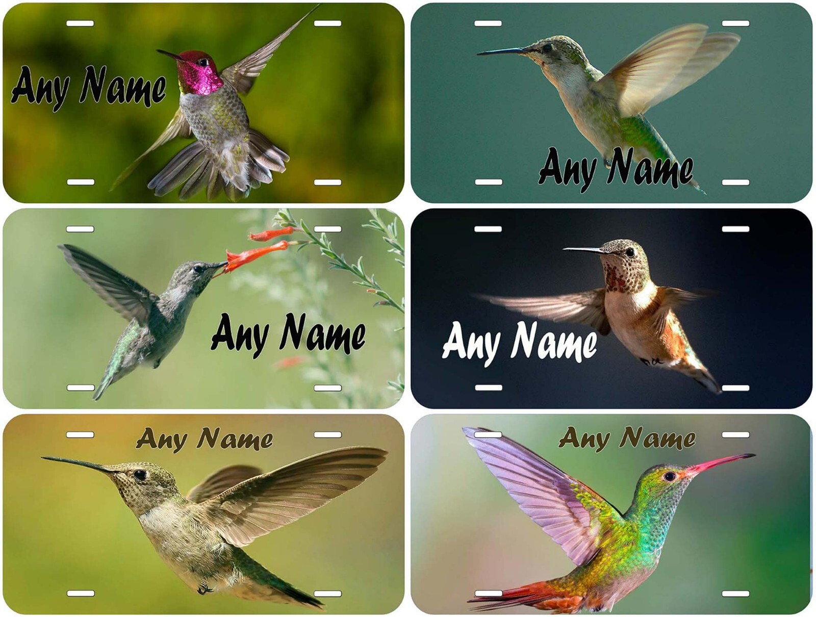 Hummingbird Any Name Personalized Novelty Car License Plate