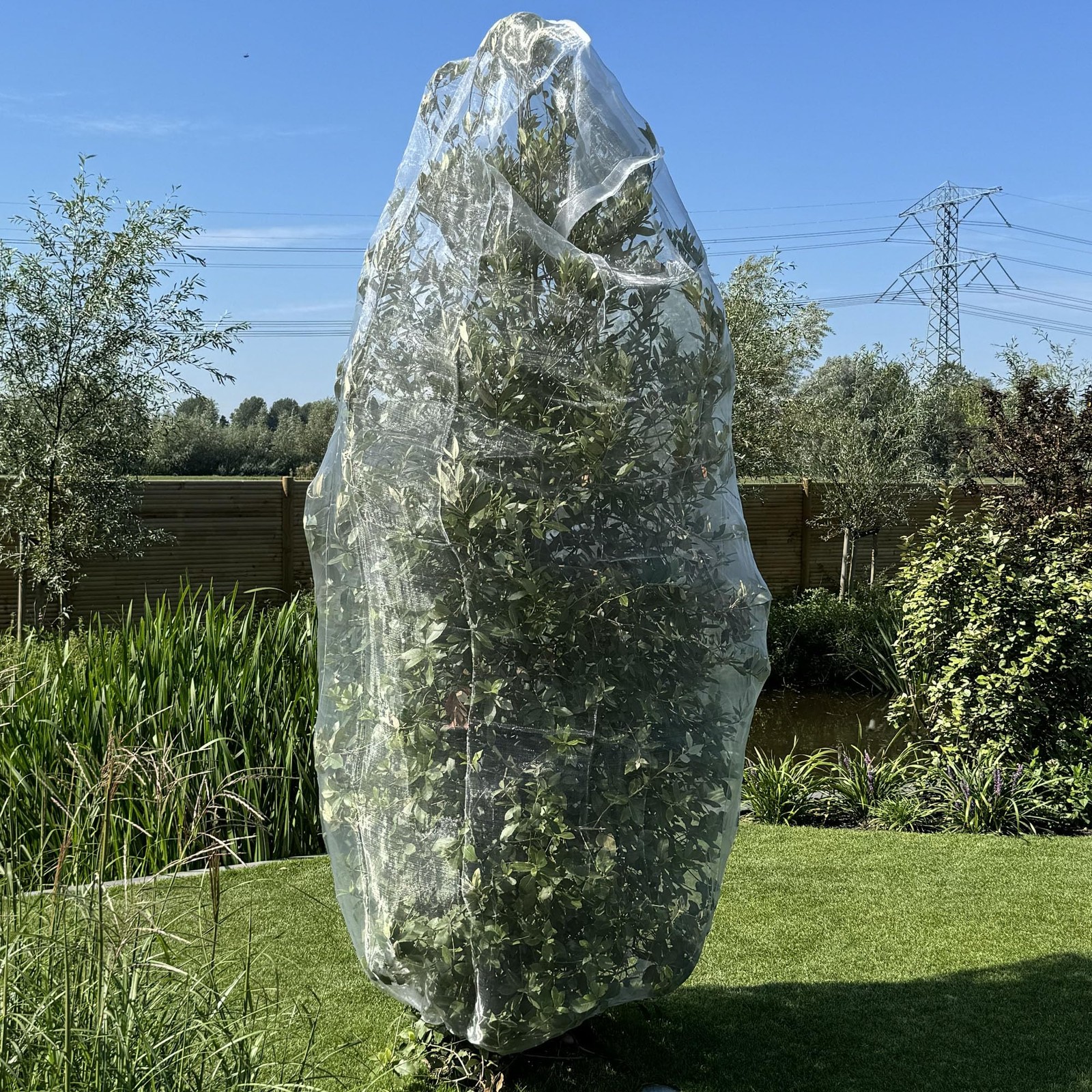 Fruit Tree Protection Bags 8.5x8.5 FT | Multiple Size 8.5 x FT, White