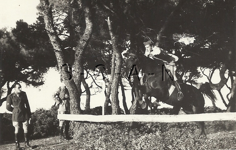 WWII Italian Army Large Real Photo- Regia Esercito- Horse Jump Fence- Equestrian