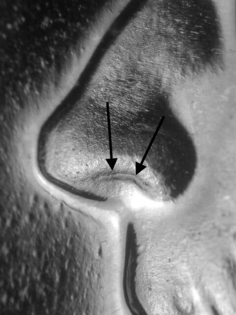 1967 SMS  WDDO-006 Gem BU Uncirculated Doubled Die Obverse Jefferson Nickel
