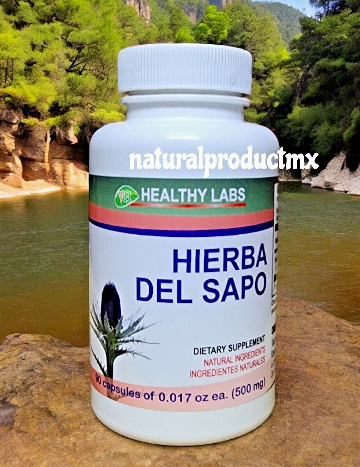 Hierba del Sapo ✅ Herb Ergiuynm Carlinae Healthy labs 90 Capsules by Healthy Lab