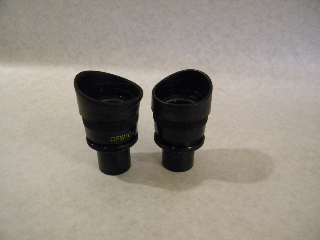 Nikon CFW 10x eyepieces (pair)