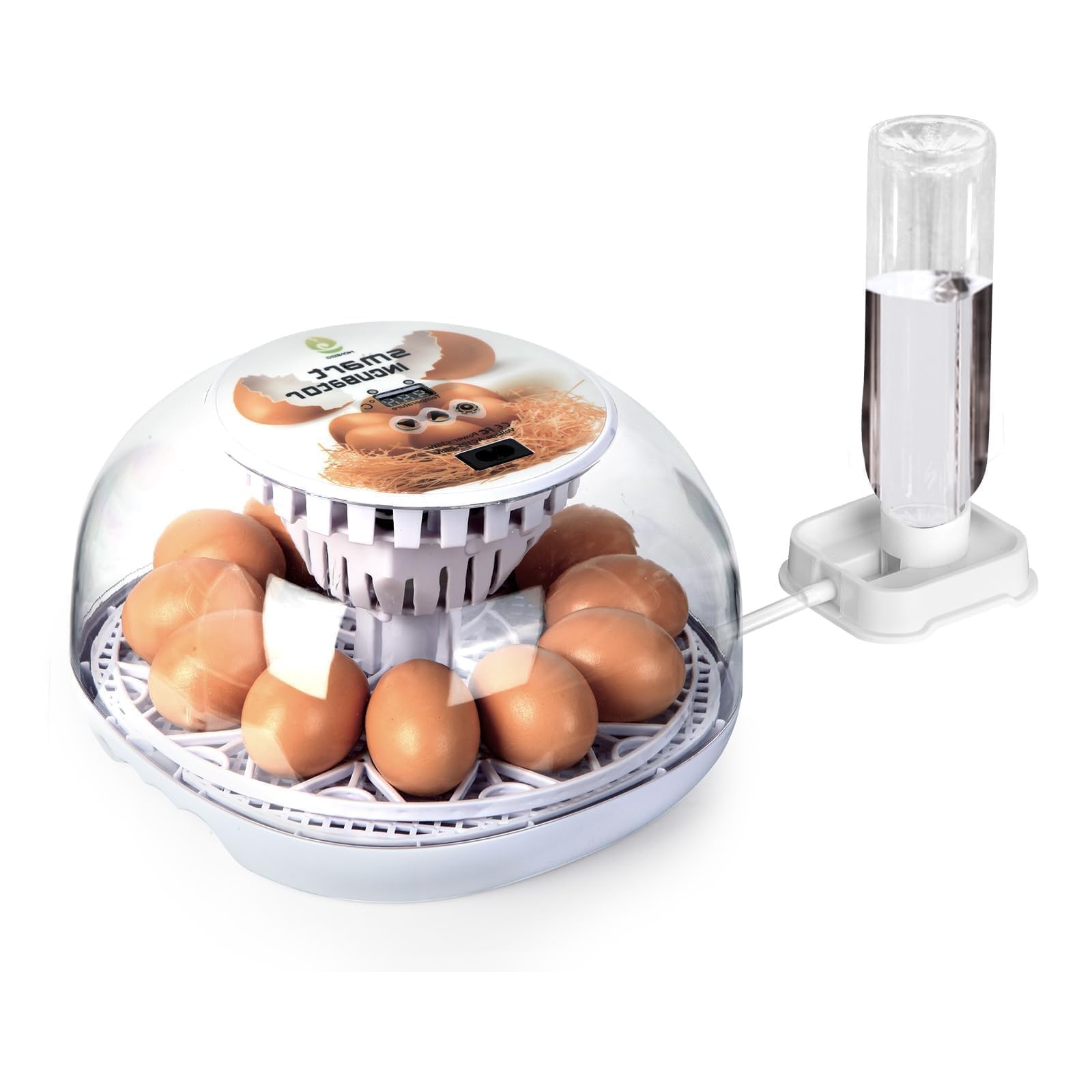 Series I - 12 Egg Incubator for Beginners, Auto Egg Turn, Steady Self-Regulat...