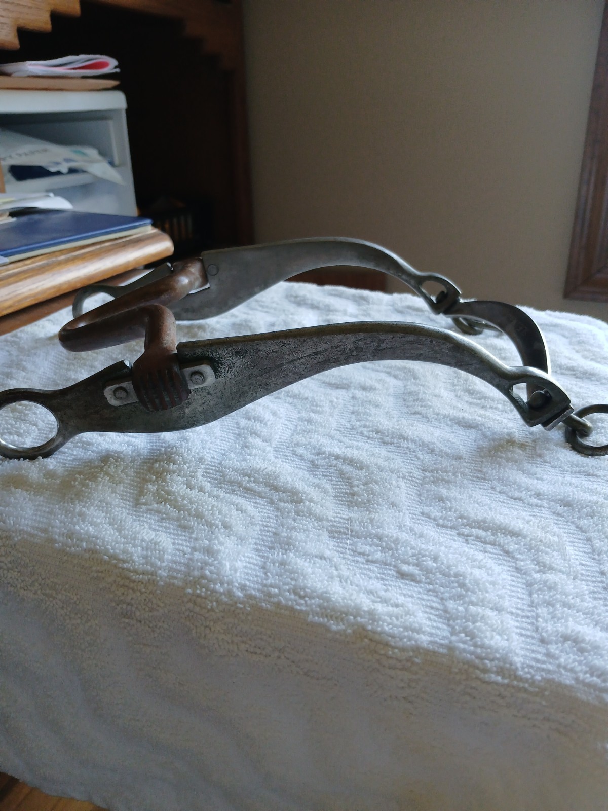 Sleister horse bit