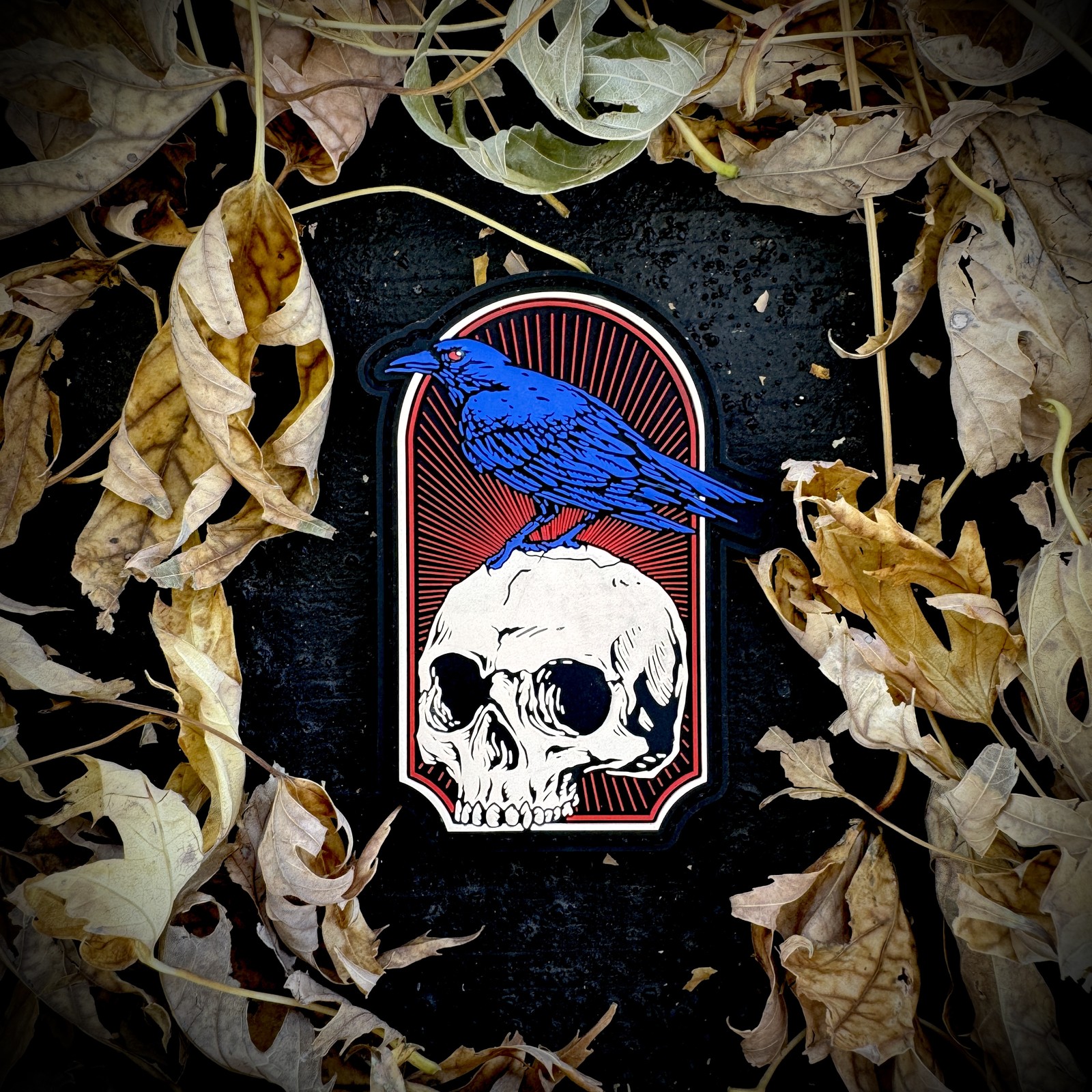 Patriot Patch Co. - Raven Skull - Patch
