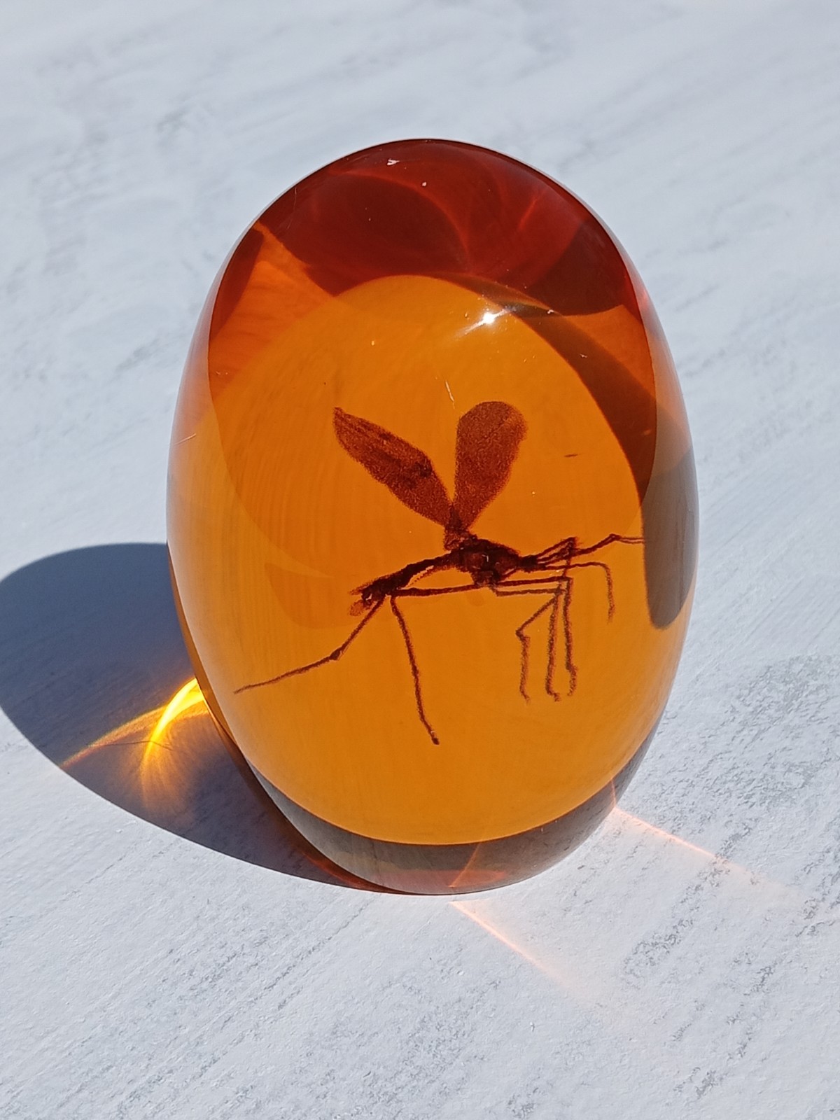 Jurassic Park Mosquito in Amber Replica Resin Paperweight. Replica Fossil! E8