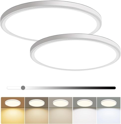 16 Inch Dimmable LED Flush Mount Ceiling Light 4800LM Round Light 2 Pack White