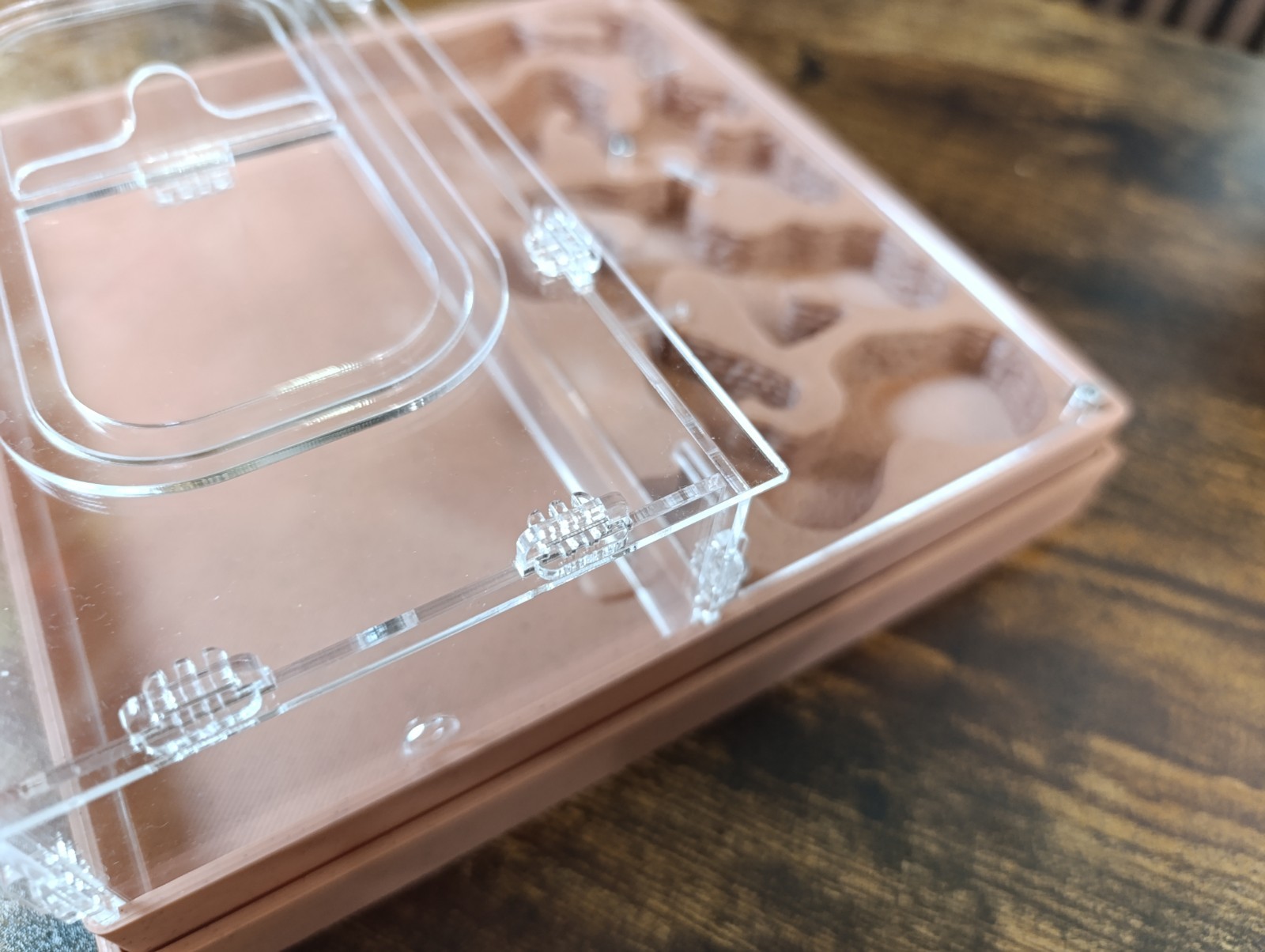 Ant farm " "Easy Start PLUS"