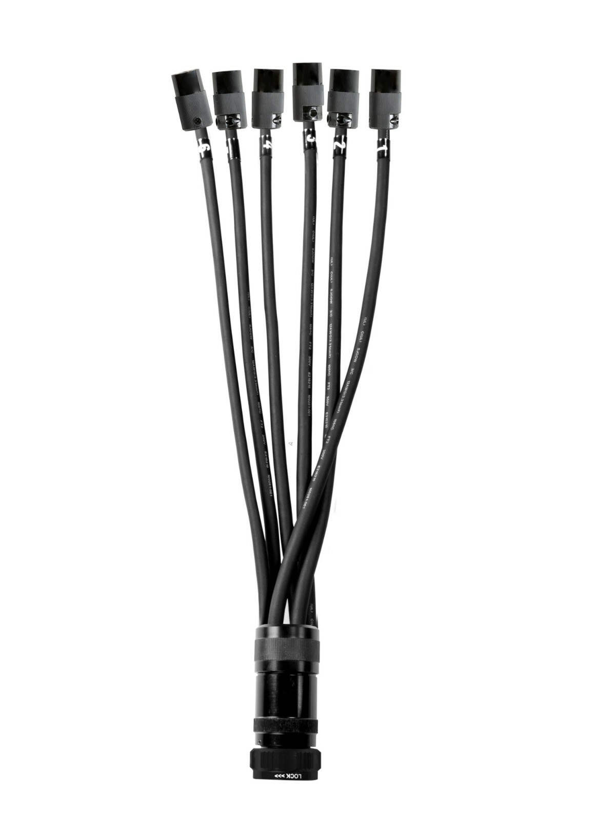 SOCAPEX SOCO 19 PIN to  6 Channel Edison Female AC Connector 5 ft Breakout Cable