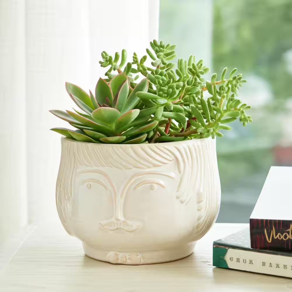 White Ceramic Grandpa Face Planter with (6.69 In. W X 4.64 In. H)