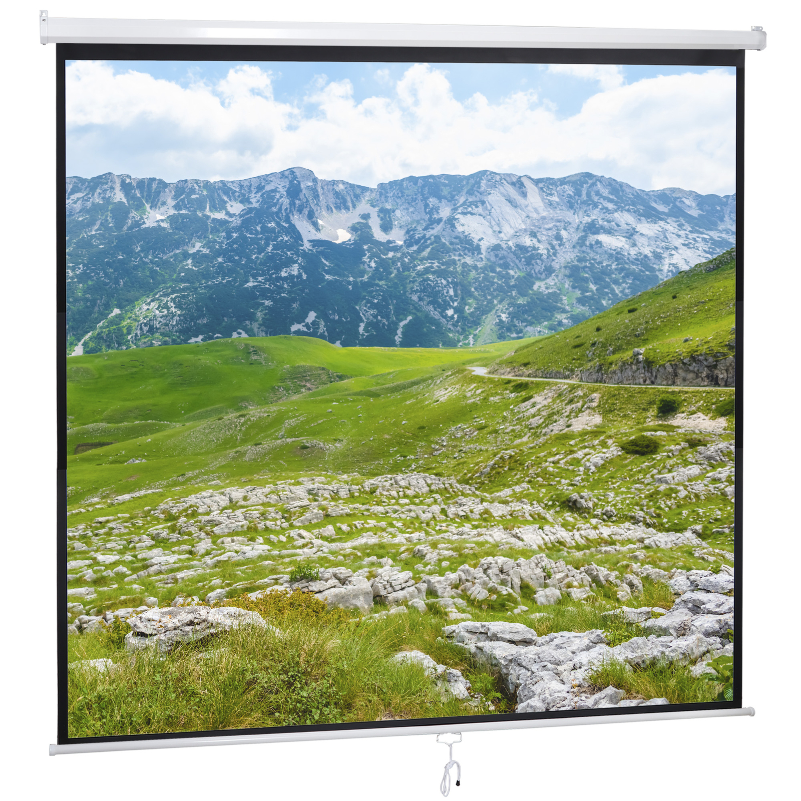 84" X 84"Manual Pull Down Projector Screen Home Theatre Play Game Bedroom