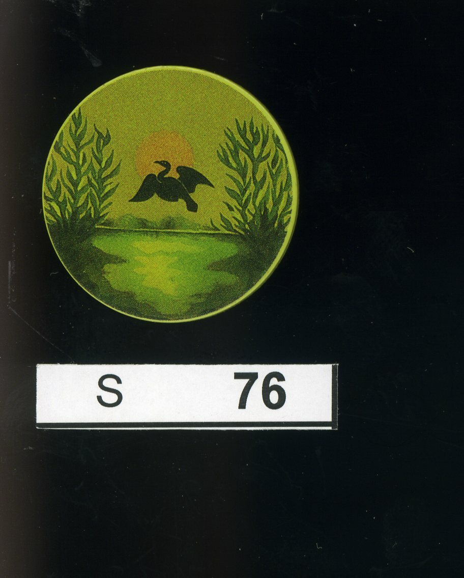 S076, Fishing, Comoran, Pin Button Circa 1975