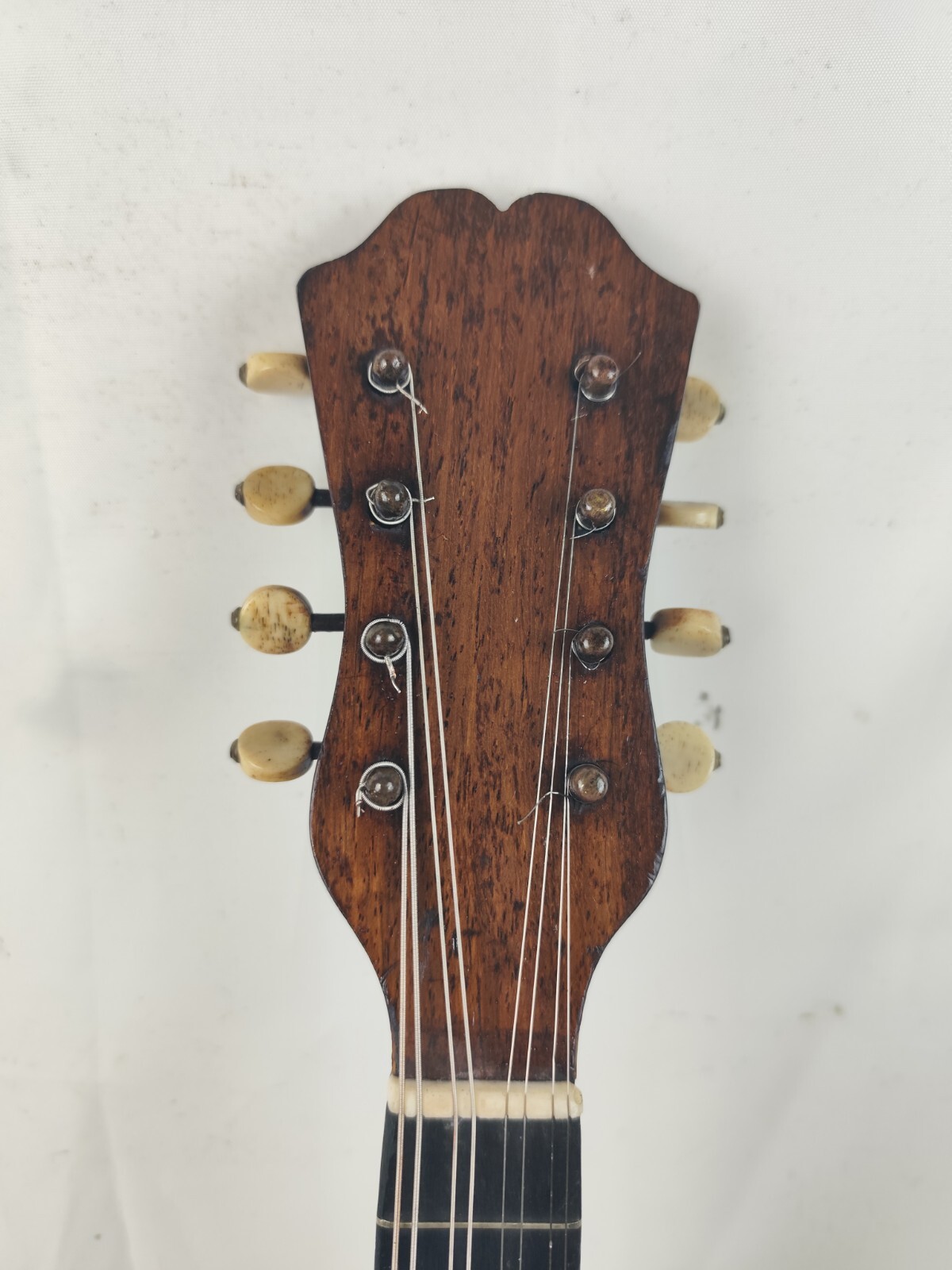 Mandolin 4/4 Querin Giuseppe 1900 Naples 曼陀林 만돌린マンドリン