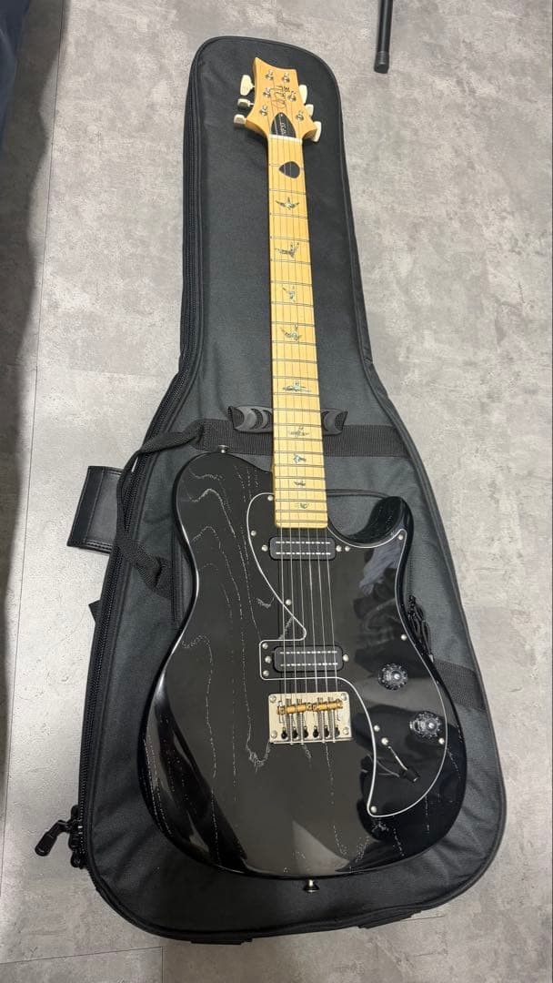 Paul Reed Smith - Prs Se Nf 53