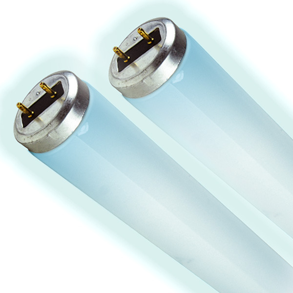 Paraclipse Replacement Ultraviolet Bulbs Case of 2 or 12 For Terminator Fixture