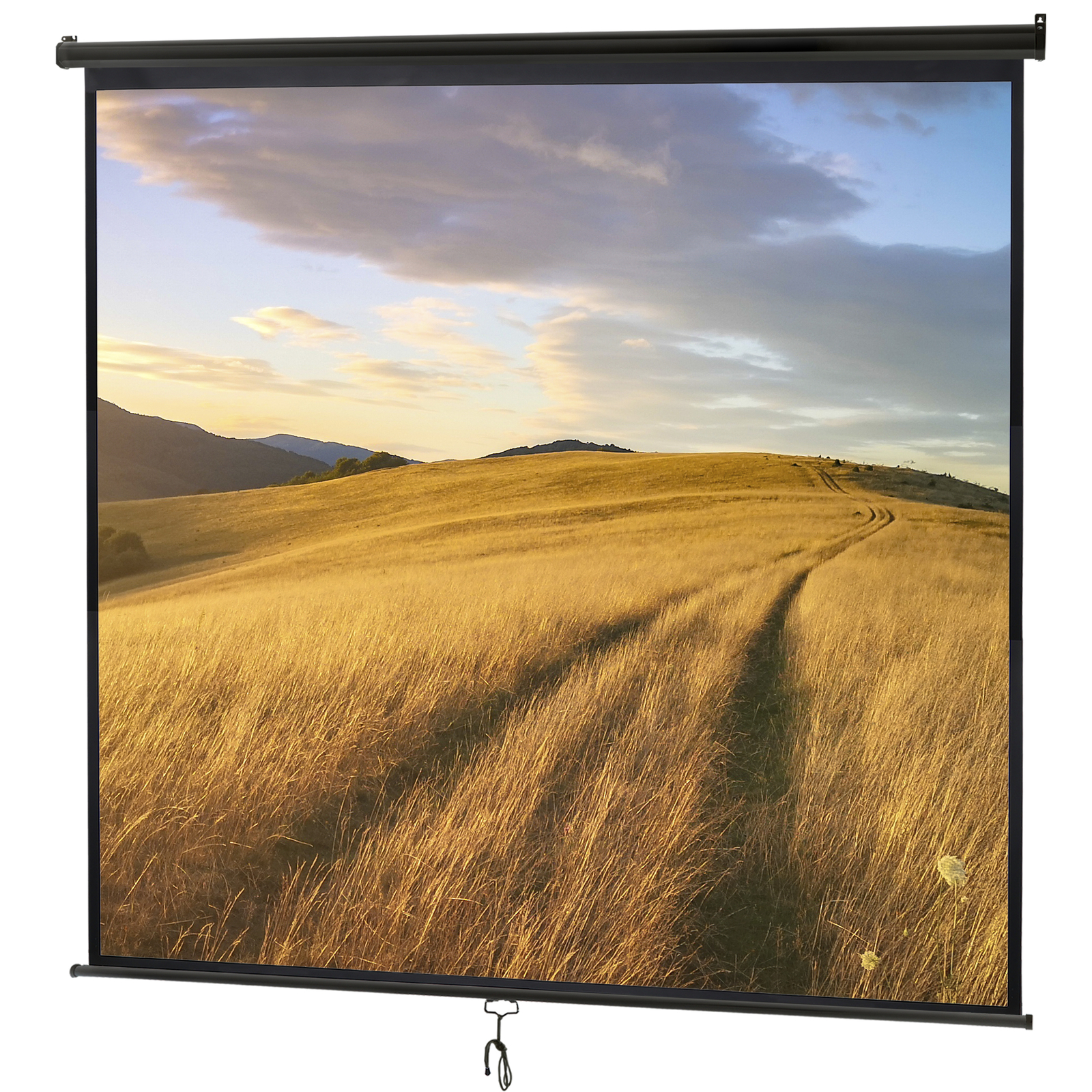 120" 1:1HD Diagonal Dimension Pull Down Projection Screen HD Movie Theater Black