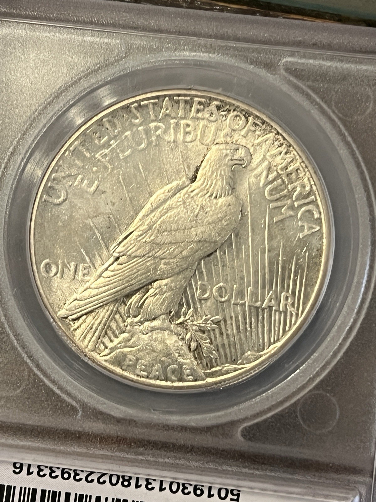 1926 MS 63 Peace Dollar