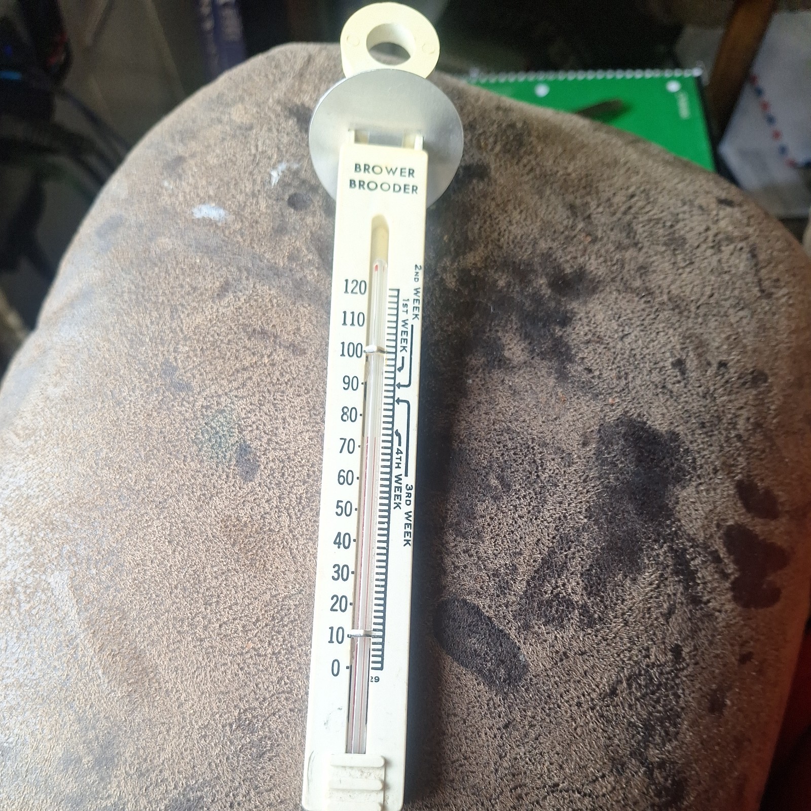 Vintage Ajusto Brooder Thermometer MADE IN THE USA #4882