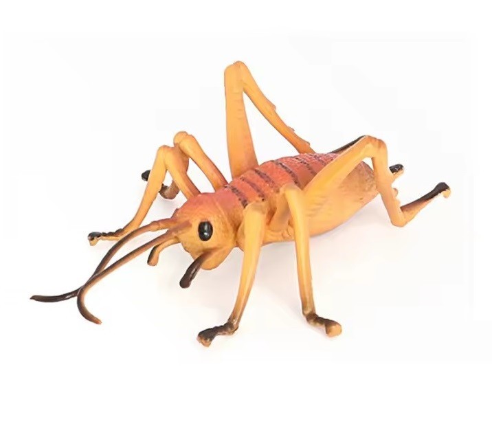 Cricket Wētā Insect Animal Figure Toy PVC Wildlife Small Figurine Birthday Gifts