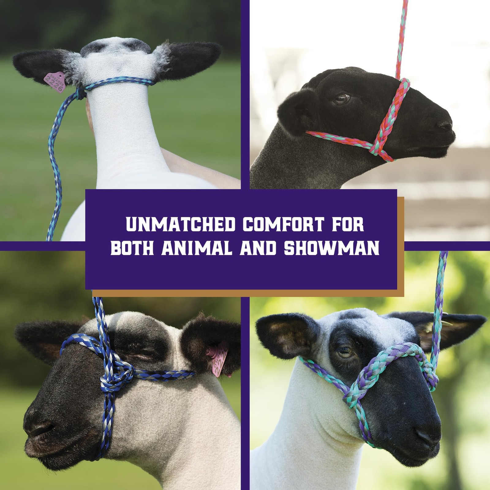 Poly Rope Sheep Halter Modern Braid Adjustable Lamb Lead Showing Supplies