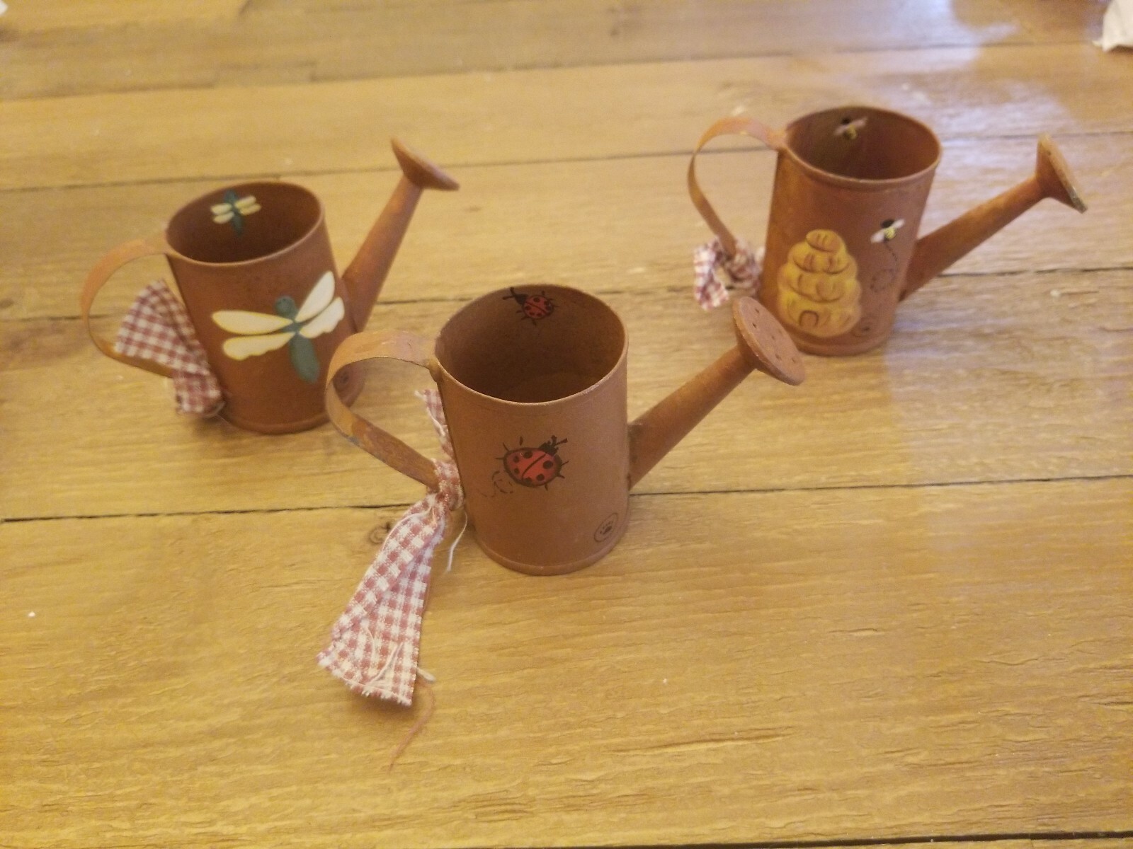 Decorative water cans