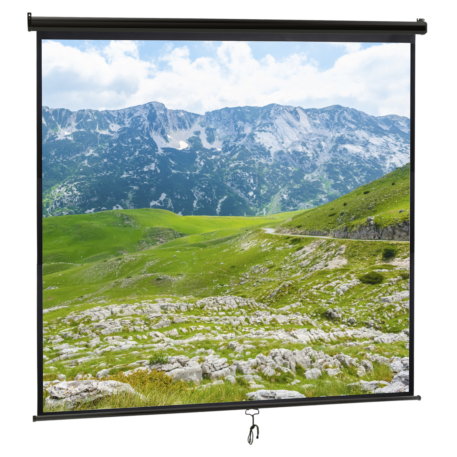 120" 1:1HD Diagonal Dimension Pull Down Projection Screen HD Movie Theater Black