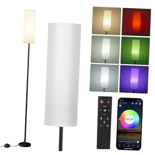 Frideko Floor Lamps for Living Room, Dimmable Colors Temperature & White