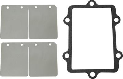 SPI Reed Valve Rebuild Kit for 2007-2008 Arctic Cat F1000 EFI Snowmobile
