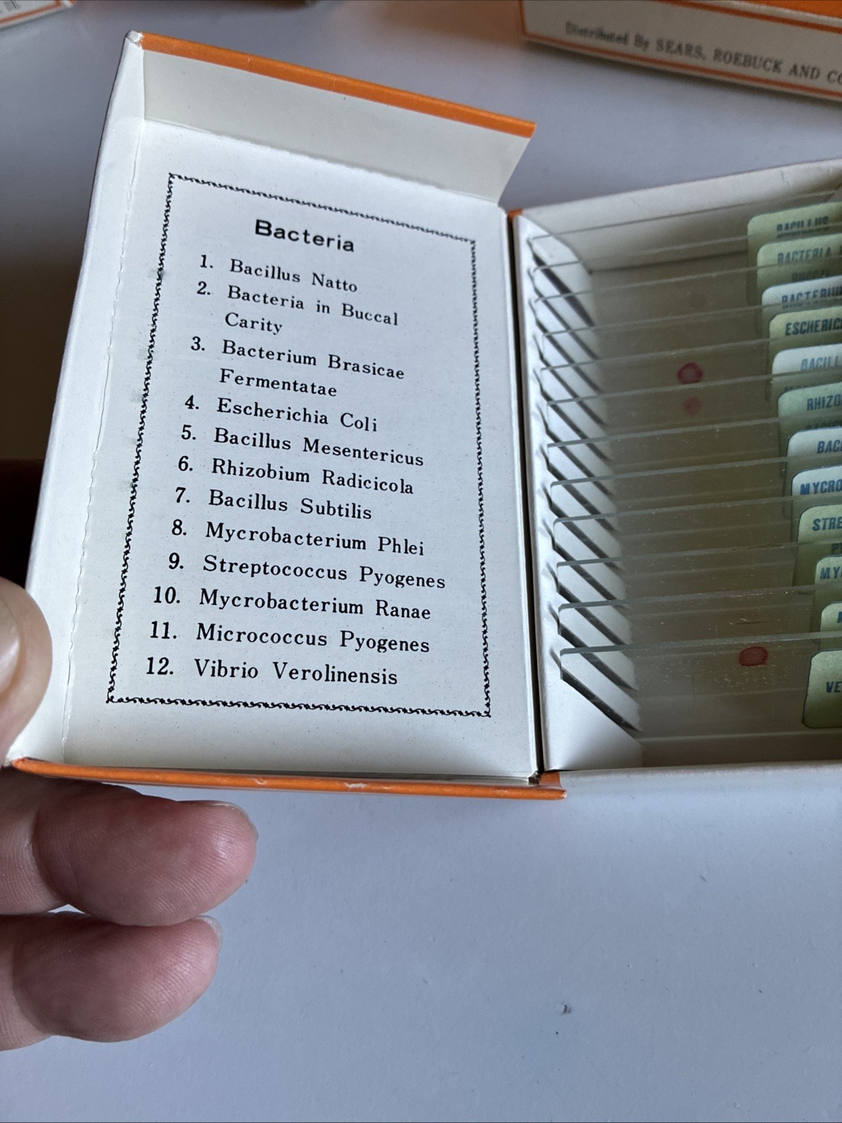 Vintage Sears 60 Prepared Microscope Slides 49 24037 Educational Specimens