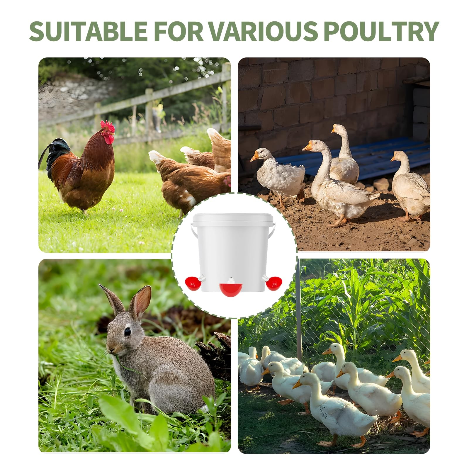 5PCS Chicken Waterer Cups, Red Automatic Poultry Watering Tee