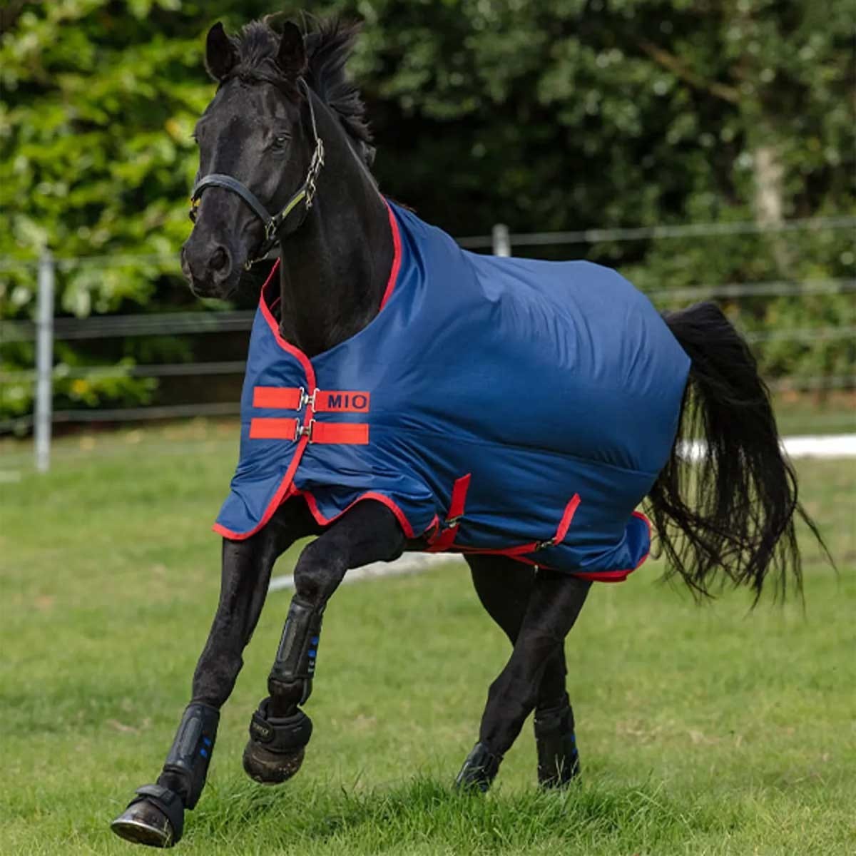 Horseware Ireland Mio Medium Horse Turnout Blanket -72" Dark Blue/Red