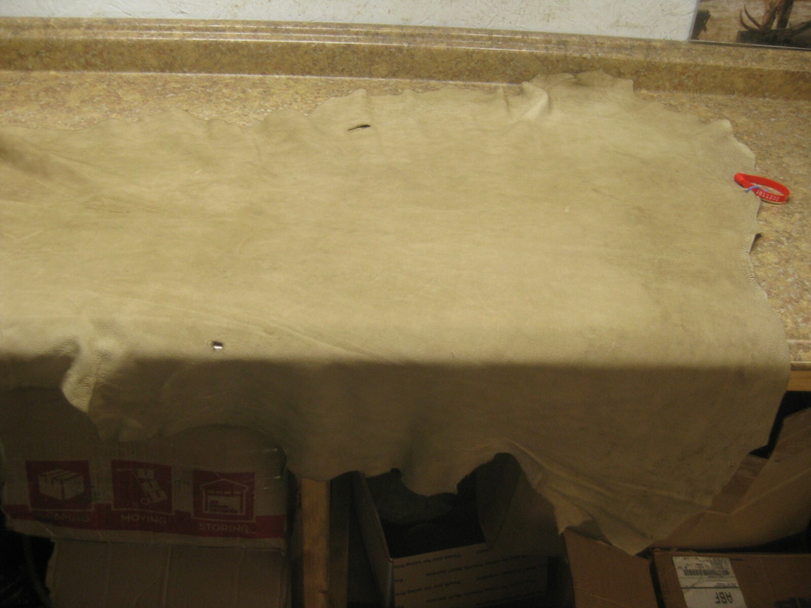 Tanned Buffed Deer Leather 0011232 Row Z a